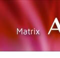 Beim letzten Ausbildungsseminar zum Matrix-Practitioner Ende haben 20 Personen erfolgreich teilgenommen!