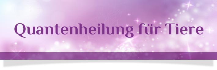 quantenheilung für tiere